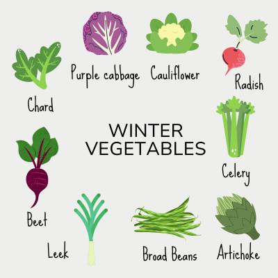 Winter Vegetables Chart